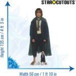 Pippin Took (The Lord of the Rings) Official Lifesize + Mini Cardboard Cutout / Standee - Image 3