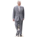 King Charles III 'Grey Suit' (British Royal Family) Lifesize + Mini Cardboard Cutout / Standee