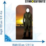 Fighter Pilot Lifesize Stand-In Cardboard Cutout / Standee - Image 3