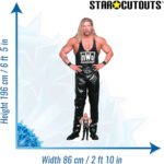 Kevin Scott Nash nWo (WWE) Official Lifesize + Mini Cardboard Cutout / Standee - Image 3