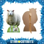Sheep (Farm Animal) Large + Mini Cardboard Cutout / Standee - Image 2