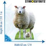 Sheep (Farm Animal) Large + Mini Cardboard Cutout / Standee - Image 3