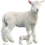 Lamb (Farm Animal) Small + Mini Cardboard Cutout / Standee