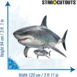 Real Shark Large + Mini Cardboard Cutout / Standee - Image 3