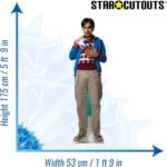 Raj Koothrappali (The Big Bang Theory) Official Lifesize Cardboard Cutout / Standee - Image 3