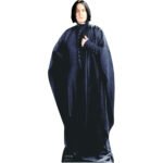 Professor Severus Snape (Harry Potter) Official Lifesize Cardboard Cutout / Standee