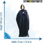 Professor Severus Snape (Harry Potter) Official Lifesize Cardboard Cutout / Standee - Image 3