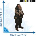 Rubeus Hagrid (Harry Potter) Official Lifesize Cardboard Cutout / Standee - Image 3