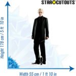 Draco Malfoy (Harry Potter) Official Lifesize + Mini Cardboard Cutout / Standee - Image 3