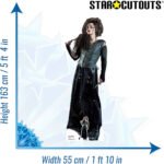 Bellatrix Lestrange (Harry Potter) Official Lifesize + Mini Cardboard Cutout / Standee - Image 3