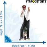 Ringo Starr 'Peace Sign' (English Singer/Songwriter) Lifesize + Mini Cardboard Cutout / Standee - Image 3