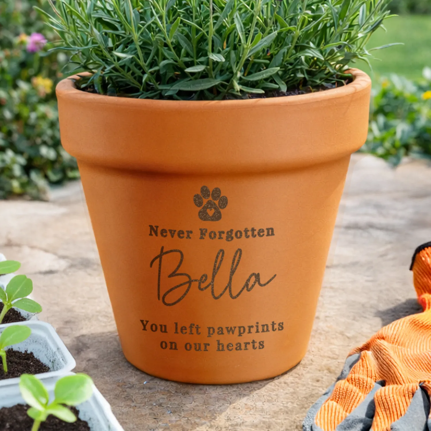 P0105B51 Personalised Pet Paw Print Motif Memorial Indoor-Outdoor Terracotta Plant Pot Personalised Pet Paw Print Motif Memorial Indoor/Outdoor Terracotta Plant Pot - Image 1