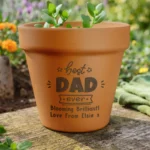 Personalised 'Best Ever' Indoor/Outdoor Terracotta Plant Pot - Image 3