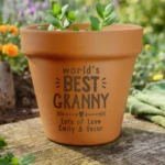 Personalised 'World's Best' Indoor/Outdoor Terracotta Plant Pot - Image 2