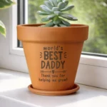 Personalised 'World's Best' Indoor/Outdoor Terracotta Plant Pot - Image 5