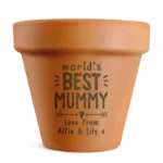 Personalised 'World's Best' Indoor/Outdoor Terracotta Plant Pot - Image 6