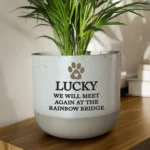 Personalised Pet Paw Print Motif Memorial Ceramic Indoor Plant Pot