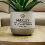 Personalised Pet Paw Print Motif Memorial Ceramic Indoor Plant Pot - Image 3