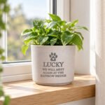 Personalised Pet Paw Print Motif Memorial Ceramic Indoor Plant Pot - Image 4