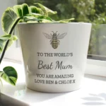 Personalised Any Message Bee Motif White Ceramic Indoor Plant Pot