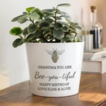 Personalised Any Message Bee Motif White Ceramic Indoor Plant Pot - Image 3
