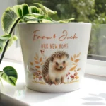 Personalised Any Message Hedgehog Design White Ceramic Indoor Plant Pot