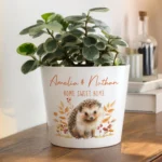Personalised Any Message Hedgehog Design White Ceramic Indoor Plant Pot - Image 4