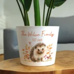 Personalised Any Message Hedgehog Design White Ceramic Indoor Plant Pot - Image 3