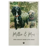 Personalised Photo Upload Pet Aluminium Sign - Image 4