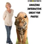 Tiger 'Walking' Large Cardboard Cutout / Standee - Image 4