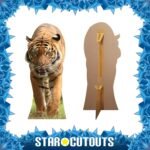 Tiger 'Walking' Large Cardboard Cutout / Standee - Image 2