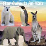 Tiger 'Walking' Large Cardboard Cutout / Standee - Image 5