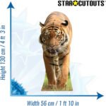 Tiger 'Walking' Large Cardboard Cutout / Standee - Image 3