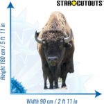 Bison 'Buffalo' Large Cardboard Cutout / Standee - Image 4