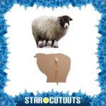 Sheep Small Cardboard Cutout / Standee - Image 2