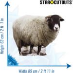 Sheep Small Cardboard Cutout / Standee - Image 3