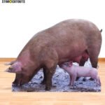 Pig & Piglet Lifesize Cardboard Cutout / Standee - Image 4