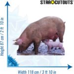 Pig & Piglet Lifesize Cardboard Cutout / Standee - Image 3