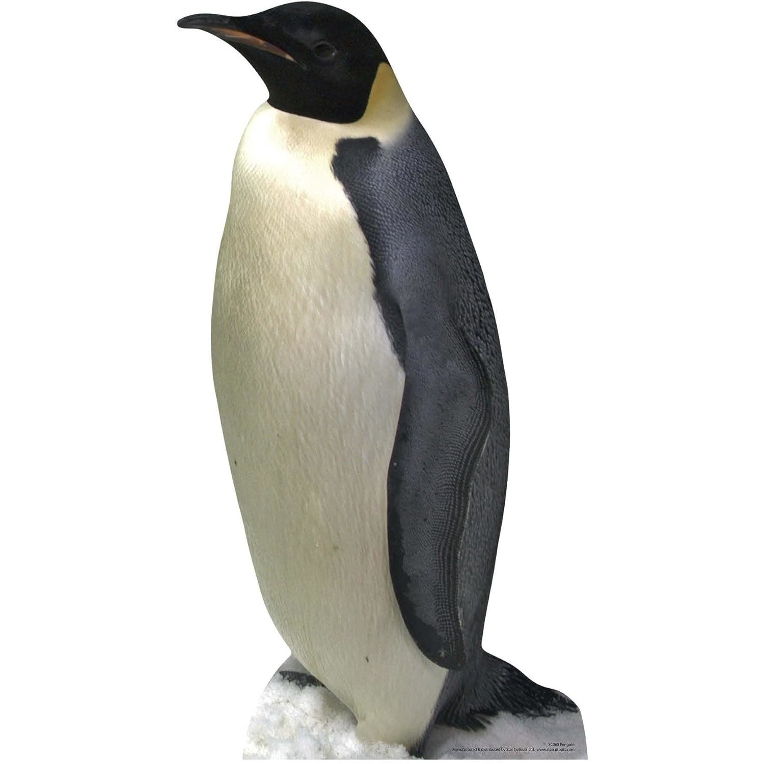 SC068 Penguin Lifesize Cardboard Cutout Standee Penguin Lifesize Cardboard Cutout / Standee - Image 1