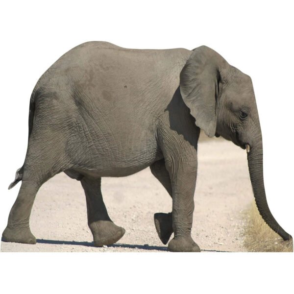 Baby Elephant Large Cardboard Cutout / Standee
