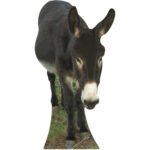 Donkey Large Cardboard Cutout / Standee