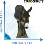 Donkey Large Cardboard Cutout / Standee - Image 3