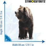 Brown Bear Large Cardboard Cutout / Standee - Image 3