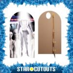 Alien Abduction Lifesize Stand-In Cardboard Cutout / Standee - Image 2