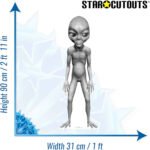 Grey Alien Small Cardboard Cutout / Standee - Image 3
