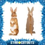 Cute Rabbit Lifesize Cardboard Cutout / Standee - Image 2