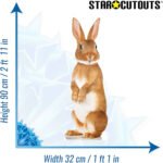 Cute Rabbit Lifesize Cardboard Cutout / Standee - Image 3