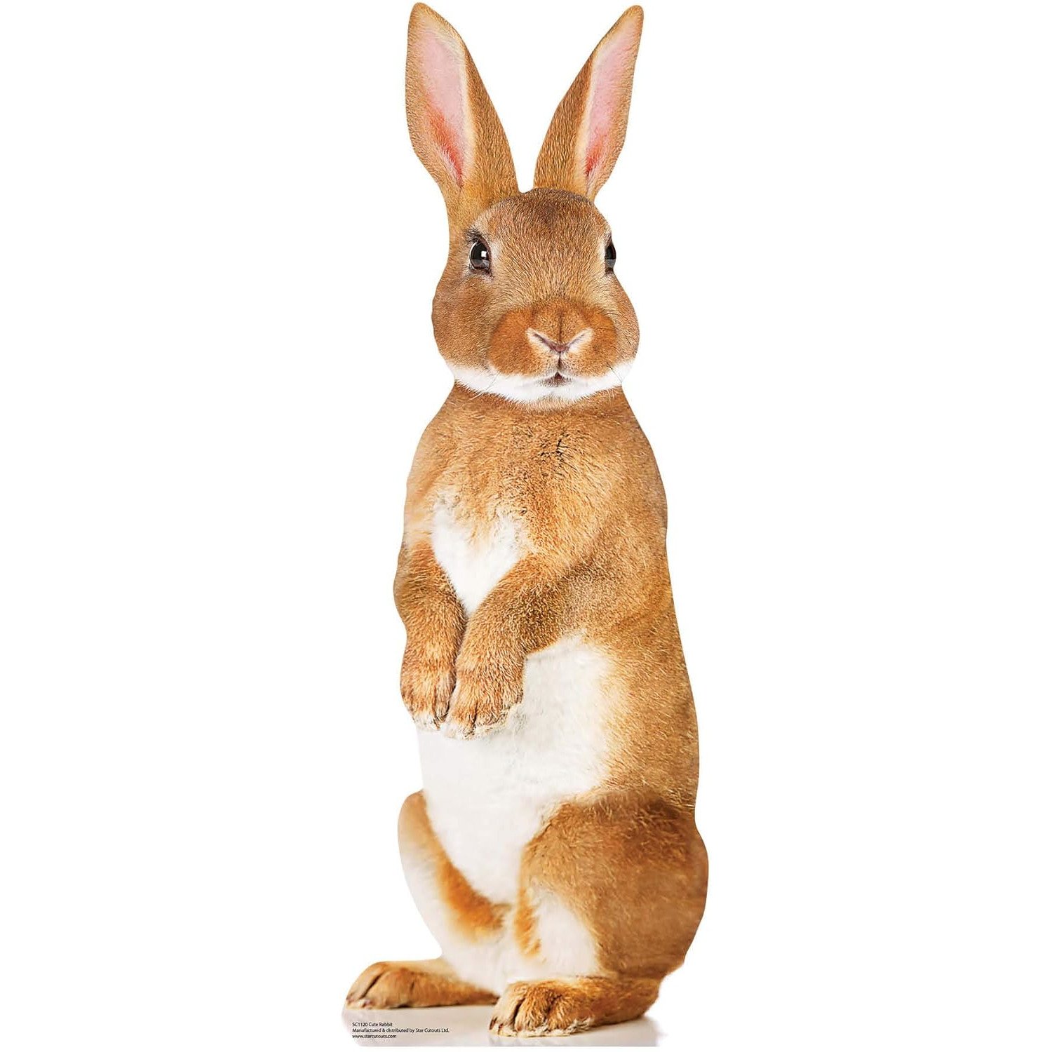 SC1120 Cute Rabbit Lifesize Cardboard Cutout Standee Cute Rabbit Lifesize Cardboard Cutout / Standee - Image 1
