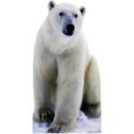 Polar Bear 'Arctic Theme' Large Cardboard Cutout / Standee