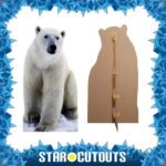 Polar Bear 'Arctic Theme' Large Cardboard Cutout / Standee - Image 2